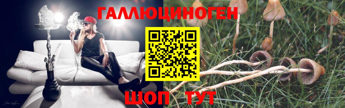 Галлюциногенные грибы прущие грибы Шадринск